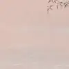 Flocking Pink