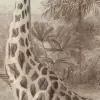 Giraffa Beige