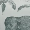Loxodonta Teal