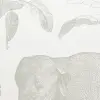 Loxodonta Neutral
