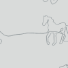 Canter