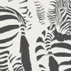 Dazzle Black & White