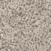 Zola Warm Grey