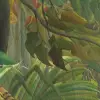 Tropical Storm