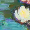 Water Lilies