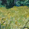 Wheat Field