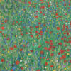 Flowering Poppies
