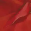 Cannas