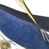 Flock
