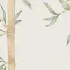 Cane