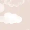 Windswept Pink