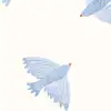 Skyward