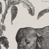 Loxodonta