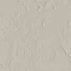 Skim Stone