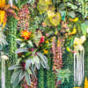 Herbaceous