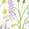 Wildflower