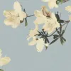 Azaleas
