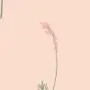 Florist Pink