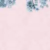 Hanami
