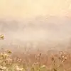 Quiet Meadow Summer