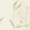 Aurelle Pink
