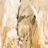 Meadow