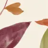 Orchid