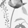 Edwina Monochrome