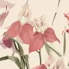 Orchid Garden