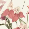 Orchid Garden Neutral