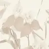 Orchid Garden Beige