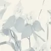 Orchid Garden Blue