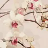 Branching Orchid 