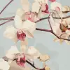 Branching Orchid Blue