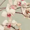 Branching Orchid Green