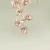 Orchid Veil Green