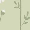 Bellis Green