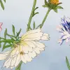 Cosmos