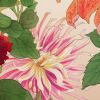 Dahlia
