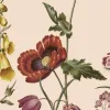 Prairie Beige