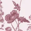 Prairie Pink