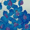 Delphinium