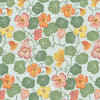 Nasturtium Blue