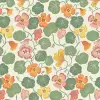 Nasturtium Neutral