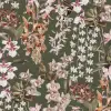 Trailing Orchids Green