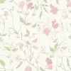 Little Sweet Pea Pink