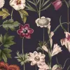 Posie Dark