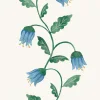 Hyacinth Blue