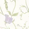Sweet Pea Multi