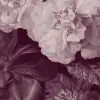 Ophelia Plum